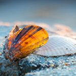 Herbstzeit mit Familien